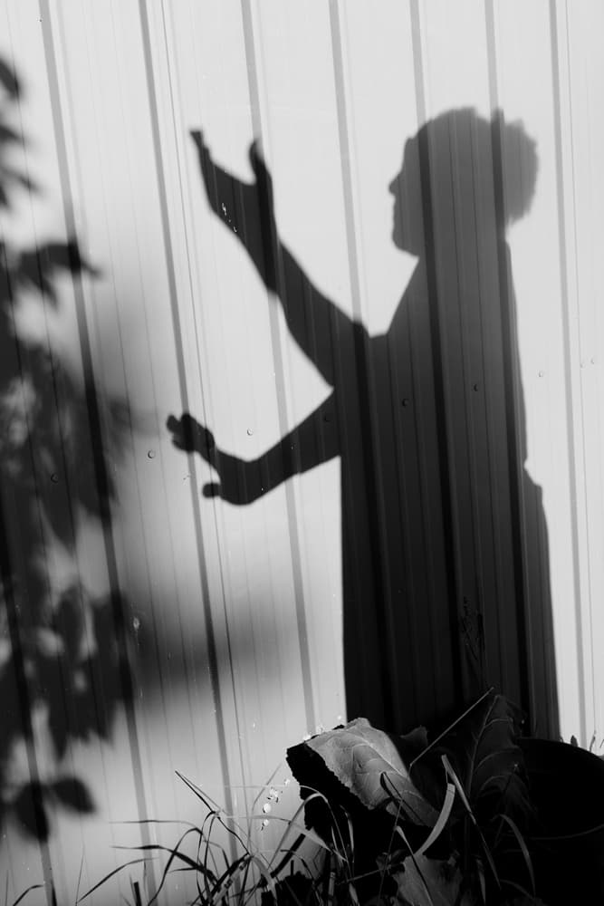 Featured submission 256